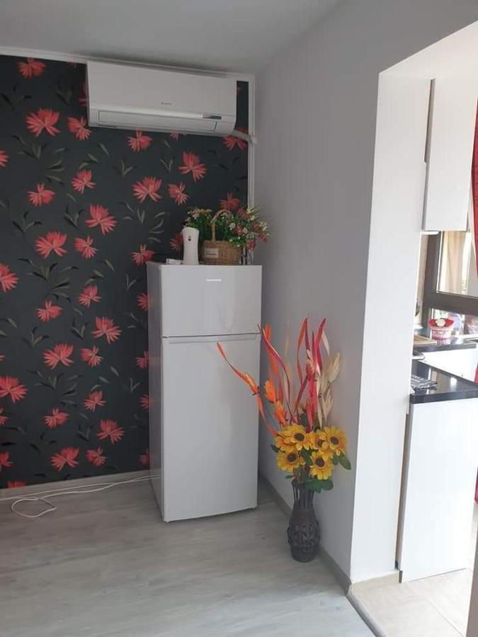 Apartament Alina Saturn Eksteriør bilde